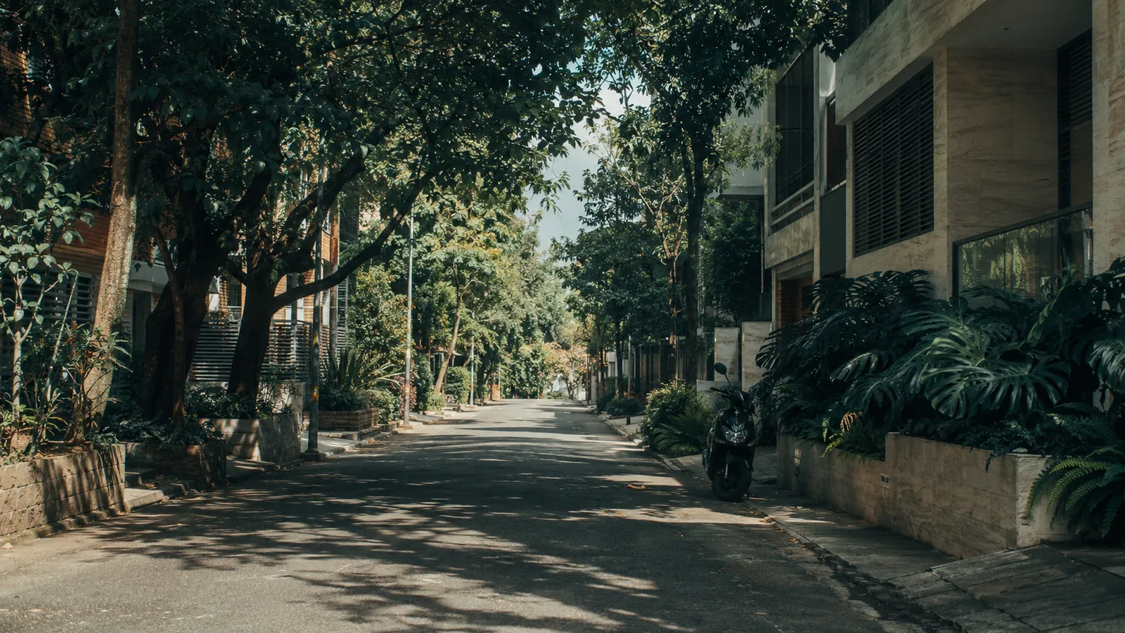A quiet, tree-shaded residential street in the early morning, low-rise buildings and heavy greenery on both sides.